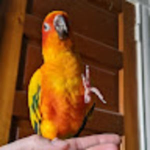 Meet your Posher, Dani